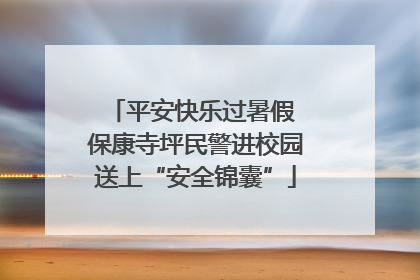 平安快乐过暑假 保康寺坪民警进校园送上“安全锦囊”