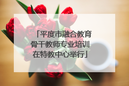平度市融合教育骨干教师专业培训在特教中心举行