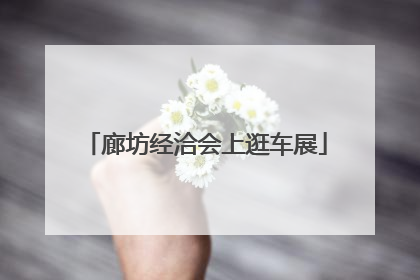 廊坊经洽会上逛车展
