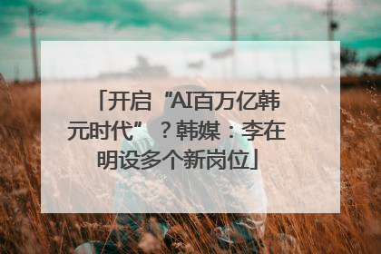 开启“AI百万亿韩元时代”？韩媒：李在明设多个新岗位