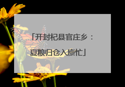 开封杞县官庄乡：夏粮归仓入廪忙