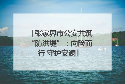 张家界市公安共筑“防洪堤”：向险而行 守护安澜