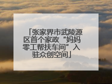 张家界市武陵源区首个家政“妈妈零工帮扶车间”入驻众创空间