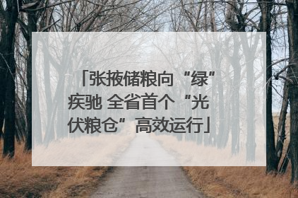 张掖储粮向“绿”疾驰 全省首个“光伏粮仓”高效运行