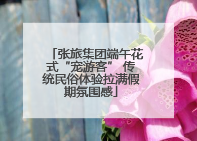 张旅集团端午花式“宠游客” 传统民俗体验拉满假期氛围感