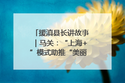 援滇县长讲故事｜马关：“上海+”模式助推“美丽产业”幸福绽放