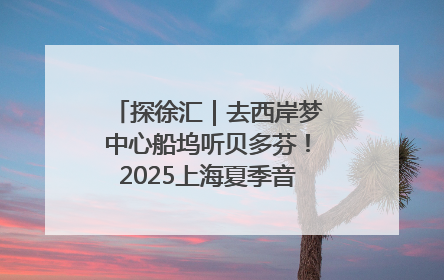 探徐汇｜去西岸梦中心船坞听贝多芬！2025上海夏季音乐节公布节目阵容