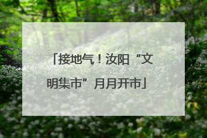 接地气！汝阳“文明集市”月月开市