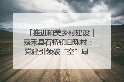 推进和美乡村建设｜嘉禾县石桥镇白珠村：党建引领破“空”局 乡贤聚力绘就新图景
