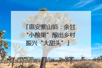 惠安紫山镇：余甘“小酸果”酿出乡村振兴“大甜头”