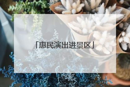 惠民演出进景区