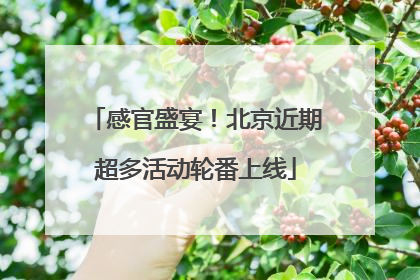 感官盛宴！北京近期超多活动轮番上线