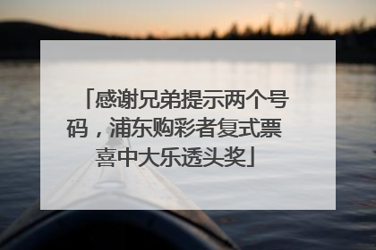 感谢兄弟提示两个号码，浦东购彩者复式票喜中大乐透头奖