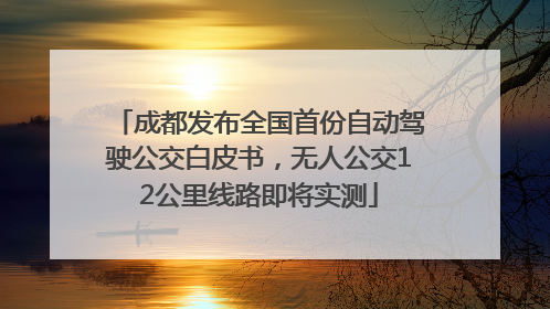 成都发布全国首份自动驾驶公交白皮书，无人公交12公里线路即将实测
