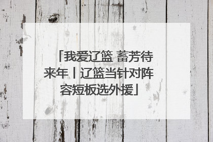 我爱辽篮 蓄芳待来年丨辽篮当针对阵容短板选外援
