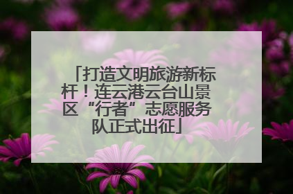 打造文明旅游新标杆！连云港云台山景区“行者”志愿服务队正式出征