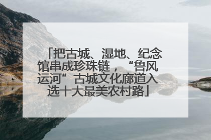 把古城、湿地、纪念馆串成珍珠链，“鲁风运河”古城文化廊道入选十大最美农村路