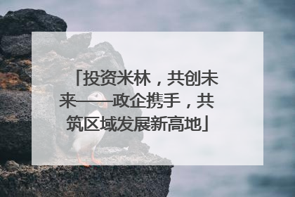投资米林，共创未来——政企携手，共筑区域发展新高地