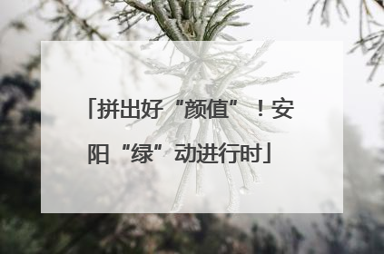 拼出好“颜值”！安阳“绿”动进行时