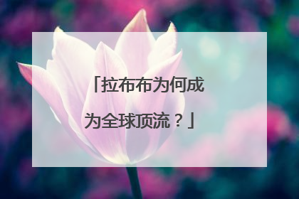 拉布布为何成为全球顶流？