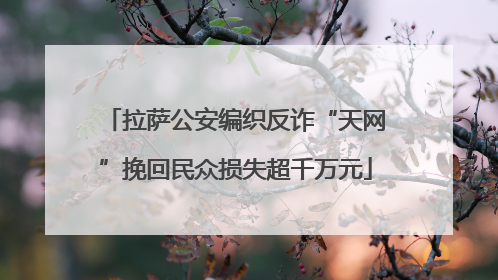 拉萨公安编织反诈“天网”挽回民众损失超千万元