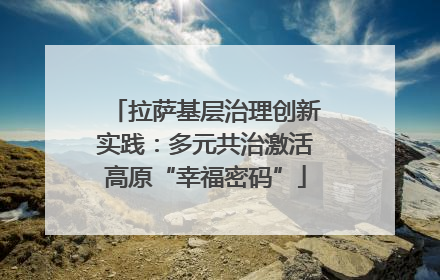 拉萨基层治理创新实践：多元共治激活高原“幸福密码”