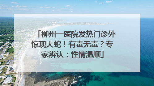 柳州一医院发热门诊外惊现大蛇！有毒无毒？专家辨认：性情温顺