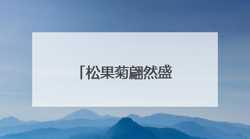 松果菊翩然盛开，像夏天写给大地的情书