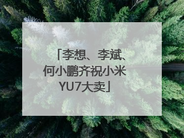 李想、李斌、何小鹏齐祝小米YU7大卖