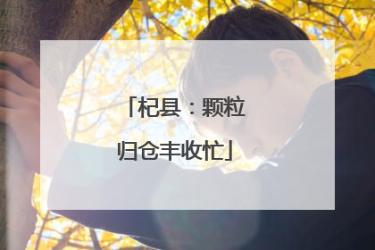 杞县：颗粒归仓丰收忙