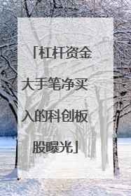 杠杆资金大手笔净买入的科创板股曝光