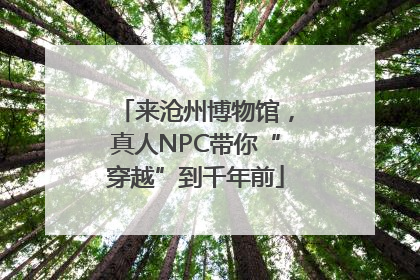 来沧州博物馆，真人NPC带你“穿越”到千年前