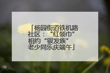 杨园街道铁机路社区：“红领巾”相约“银发族” 老少同乐庆端午