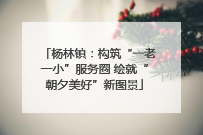 杨林镇：构筑“一老一小”服务圈 绘就“朝夕美好”新图景