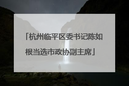 杭州临平区委书记陈如根当选市政协副主席