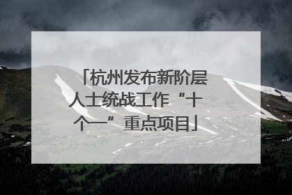 杭州发布新阶层人士统战工作“十个一”重点项目
