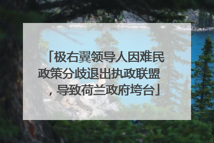 极右翼领导人因难民政策分歧退出执政联盟，导致荷兰政府垮台