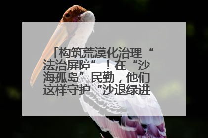 构筑荒漠化治理“法治屏障”！在“沙海孤岛”民勤，他们这样守护“沙退绿进”的生态奇迹