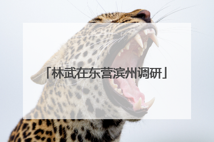 林武在东营滨州调研
