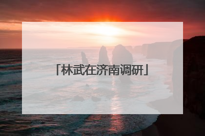 林武在济南调研