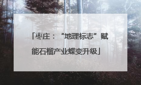 枣庄：“地理标志”赋能石榴产业蝶变升级