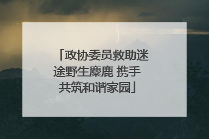 政协委员救助迷途野生麋鹿 携手共筑和谐家园