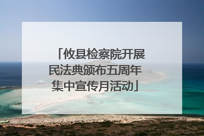 攸县检察院开展民法典颁布五周年集中宣传月活动