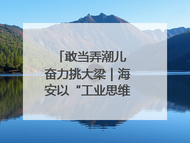 敢当弄潮儿 奋力挑大梁｜海安以“工业思维”拓宽共富路