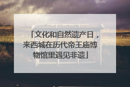 文化和自然遗产日，来西城在历代帝王庙博物馆里遇见非遗