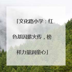 文化路小学：红色基因薪火传，榜样力量润童心