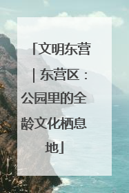 文明东营｜东营区：公园里的全龄文化栖息地