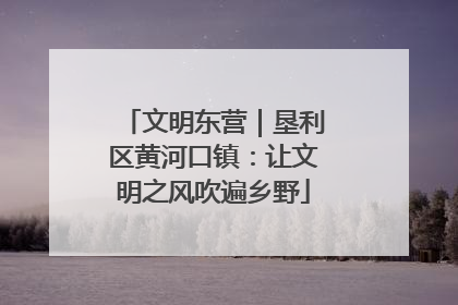 文明东营｜垦利区黄河口镇：让文明之风吹遍乡野