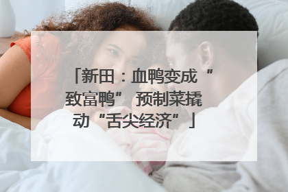 新田：血鸭变成“致富鸭” 预制菜撬动“舌尖经济”