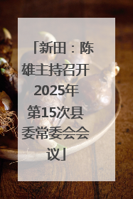 新田：陈雄主持召开2025年第15次县委常委会会议